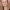 https://res.cloudinary.com/billionhands/image/upload/v1778005903/items/tgcxxdmwtvhlymni4if1.jpg-3cover