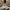 https://res.cloudinary.com/billionhands/image/upload/v1778006603/items/ednqrzseetrfxud65gn4.jpg-3cover