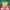 https://res.cloudinary.com/billionhands/image/upload/v1778009319/items/lwhvuvqkttmqqlld5trw.jpg-0cover
