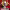 https://res.cloudinary.com/billionhands/image/upload/v1778009324/items/ho88w2jzmjyc2rtcnt7t.jpg-1cover