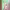 https://res.cloudinary.com/billionhands/image/upload/v1778009341/items/jq4rxiadhqbz4qbcjemh.jpg-3cover