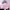 https://res.cloudinary.com/billionhands/image/upload/v1778009666/items/m7hu4bwmseryewgmzgnf.jpg-0cover