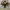 https://res.cloudinary.com/billionhands/image/upload/v1778011122/items/z4ekjz9jqjygwyrwalui.avif-2cover