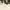https://res.cloudinary.com/billionhands/image/upload/v1778011281/items/imykfe8dj7ivu5robp0i.jpg-3cover