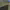 https://res.cloudinary.com/billionhands/image/upload/v1778011676/items/vqwgwoqcqpls98eghfxs.jpg-2cover