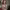 https://res.cloudinary.com/billionhands/image/upload/v1778013340/items/gvxaxzdbbtoi3q0ztzkd.jpg-3cover