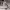 https://res.cloudinary.com/billionhands/image/upload/v1778013347/items/swyeknpgcnzi2zar0deh.jpg-3cover