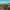 https://res.cloudinary.com/billionhands/image/upload/v1778014500/items/nvedp5nypqzv1we4ruel.webp-1cover