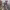 https://res.cloudinary.com/billionhands/image/upload/v1778015524/items/wukiy9soeiyj3ph4fvda.jpg-3cover