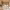 https://res.cloudinary.com/billionhands/image/upload/v1778016177/items/phjgybeevf9c78hxhe6w.avif-3cover