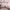 https://res.cloudinary.com/billionhands/image/upload/v1778016189/items/gwnb317qse9f7xnotj90.jpg-2cover