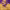 https://res.cloudinary.com/billionhands/image/upload/v1778018164/items/s7fpz5wjde2yc3wdjf5n.gif-2cover
