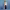 Silvia Tcherassi Pre-Fall 2024 Collection cover