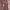 https://res.cloudinary.com/billionhands/image/upload/v1778019643/items/oubq7db8sfylfpw10hnt.webp-1cover