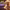 https://res.cloudinary.com/billionhands/image/upload/v1778020782/items/pmegqfjpieaqipvoa2w0.jpg-2cover