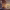 https://res.cloudinary.com/billionhands/image/upload/v1778020783/items/lepgpgxu5zmpz3ktsjoq.webp-3cover