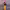 https://res.cloudinary.com/billionhands/image/upload/v1778020788/items/zxcuzw525b62y82btumi.jpg-1cover