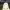 https://res.cloudinary.com/billionhands/image/upload/v1778056597/items/hoybipbmkocxmqxacigy.jpg-1cover