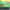 https://res.cloudinary.com/billionhands/image/upload/v1778058536/items/lfylrs8rjpfquu9lrvzx.jpg-2cover