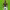 Gol en Solitario de Vinicius Junior (2024/2025) cover