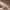https://res.cloudinary.com/billionhands/image/upload/v1778058651/items/qh2rbazspjeijvue6zla.webp-1cover