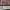 https://res.cloudinary.com/billionhands/image/upload/v1778058654/items/rkbnr6gu7kxarpd49fco.jpg-1cover