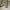 https://res.cloudinary.com/billionhands/image/upload/v1778058663/items/cnf2tsogoswhcdlhmtec.webp-2cover