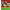 https://res.cloudinary.com/billionhands/image/upload/v1778059660/items/iji77zilk0b8frqbmuig.jpg-1cover