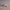 https://res.cloudinary.com/billionhands/image/upload/v1778062444/items/kzlbsbzqeukj6sx9x3dn.jpg-0cover