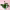 https://res.cloudinary.com/billionhands/image/upload/v1778064173/items/fowql1mww2z1bhvm2mix.webp-0cover