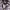 https://res.cloudinary.com/billionhands/image/upload/v1778064994/items/w96mh6pogdcfeazzxuwf.jpg-1cover