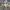 https://res.cloudinary.com/billionhands/image/upload/v1778065596/items/dtz0mnwcqbwutg28qux4.webp-0cover