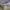 https://res.cloudinary.com/billionhands/image/upload/v1778070054/items/ctwjbw9fg2qffmqtnlyt.webp-1cover