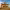 https://res.cloudinary.com/billionhands/image/upload/v1778070369/items/d4d5xeiy6jl6bry8rtx5.jpg-0cover