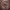 https://res.cloudinary.com/billionhands/image/upload/v1778070376/items/nzuofedinvzz7g1epefx.jpg-3cover