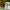 https://res.cloudinary.com/billionhands/image/upload/v1778074909/items/c5bqya2mizlosgoiq25v.webp-2cover