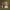 https://res.cloudinary.com/billionhands/image/upload/v1778074915/items/wqoghkekgwebwgo2anam.jpg-0cover