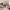 https://res.cloudinary.com/billionhands/image/upload/v1778075444/items/akxu8msyez7nemlmxx8h.avif-2cover