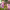 https://res.cloudinary.com/billionhands/image/upload/v1778075938/items/a1h7gpqdedgpfkgfpwb3.jpg-2cover