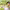 https://res.cloudinary.com/billionhands/image/upload/v1778076340/items/jgfvmzxzwy3ngjqikvyk.jpg-1cover
