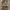https://res.cloudinary.com/billionhands/image/upload/v1778076348/items/mdgiv6nhfbeqi6qxknee.jpg-2cover