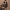 https://res.cloudinary.com/billionhands/image/upload/v1778077607/items/bijaaa54xjmc2eeozioj.jpg-1cover