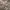 https://res.cloudinary.com/billionhands/image/upload/v1778080102/items/xnkgru3k7ehfoedlltoc.jpg-0cover