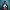 https://res.cloudinary.com/billionhands/image/upload/v1778080618/items/nlwwkmjnvhkjicnhuydy.webp-3cover
