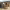 https://res.cloudinary.com/billionhands/image/upload/v1778089317/items/nc5uyhsq3w5gowwtxel4.jpg-2cover