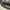 https://res.cloudinary.com/billionhands/image/upload/v1778090064/items/po6dvywfqcu1cl8sn5uk.webp-1cover