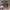 https://res.cloudinary.com/billionhands/image/upload/v1778093448/items/kxrwgfkhluvvjsapse5t.webp-0cover