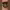 https://res.cloudinary.com/billionhands/image/upload/v1778094808/items/u00dcgejznt0jjj5l6am.jpg-2cover