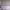 https://res.cloudinary.com/billionhands/image/upload/v1778095397/items/jaxmj5euddiixiifdfc8.jpg-1cover