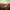 https://res.cloudinary.com/billionhands/image/upload/v1778095528/items/dvbuqrbbhbar58zglt1f.jpg-2cover